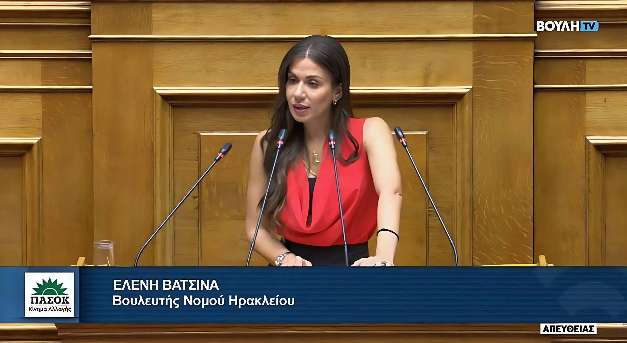 ΠΑΣΟΚ – Κινήματος Αλλαγής, Ελένη Βατσινά