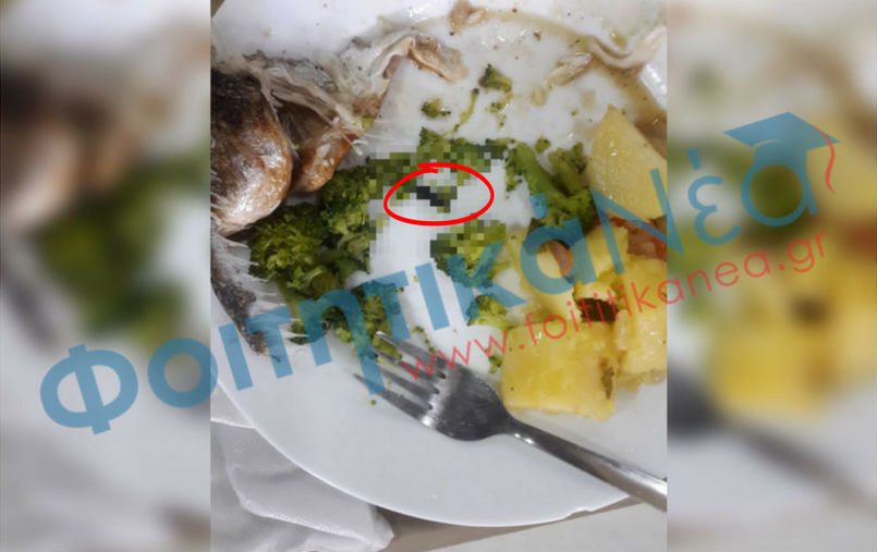  ΔΕΙΤΕ τι βρήκε φοιτητής στο φαγητό της Λέσχης στο Πανεπιστήμιο Πατρών (ΔΕΙΤΕ ΦΩΤΟ)