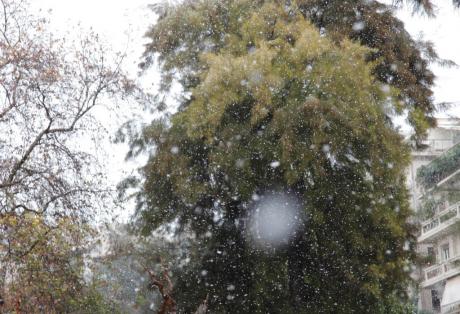 Έπεσαν οι πρώτες νιφάδες χιονιού στο Πανεπιστήμιο Πατρών [ΔΕΙΤΕ ΒΙΝΤΕΟ]